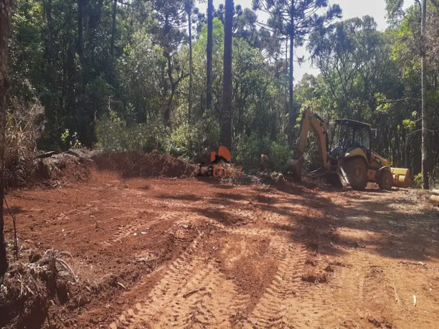 Foto 1 de Chácara à venda, 20000m2 em Guarapuava - PR