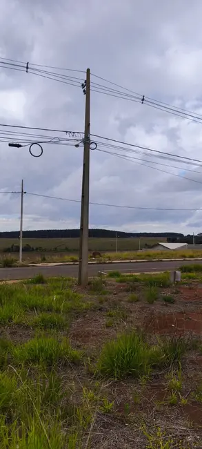 Foto 7 de Terreno / Lote à venda, 1702m2 em Imóvel Morro Alto, Guarapuava - PR