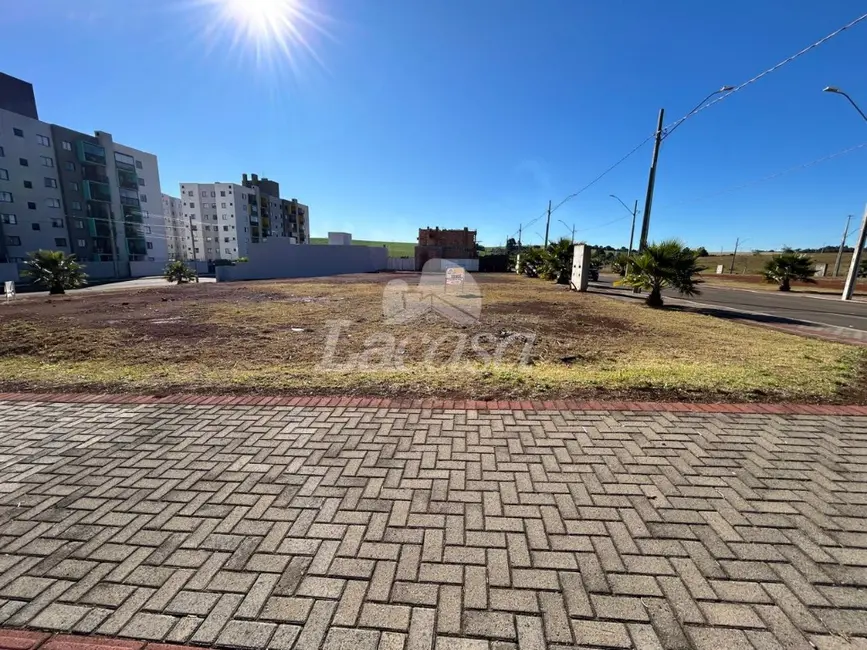 Foto 8 de Terreno / Lote à venda, 279m2 em Guarapuava - PR