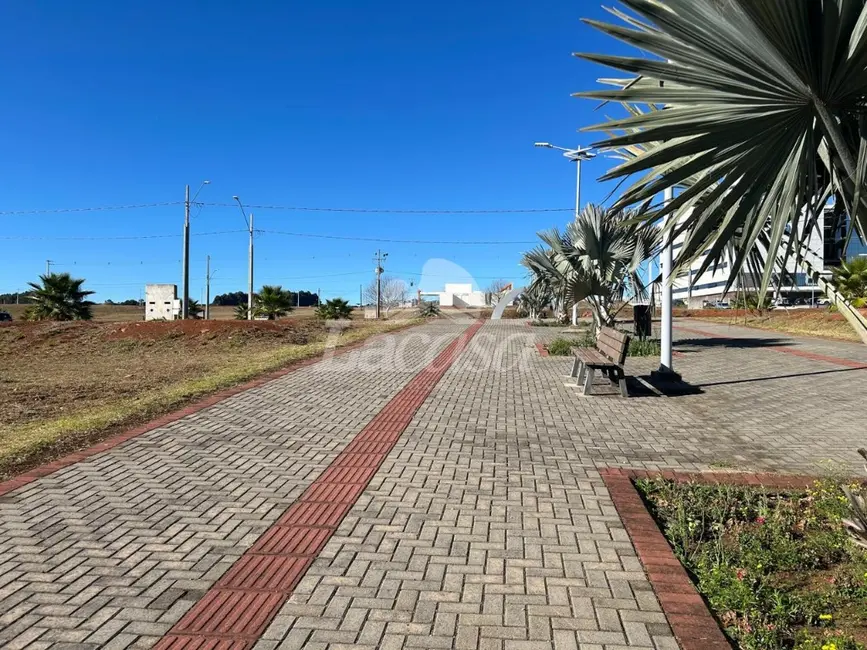 Foto 4 de Terreno / Lote à venda, 279m2 em Guarapuava - PR