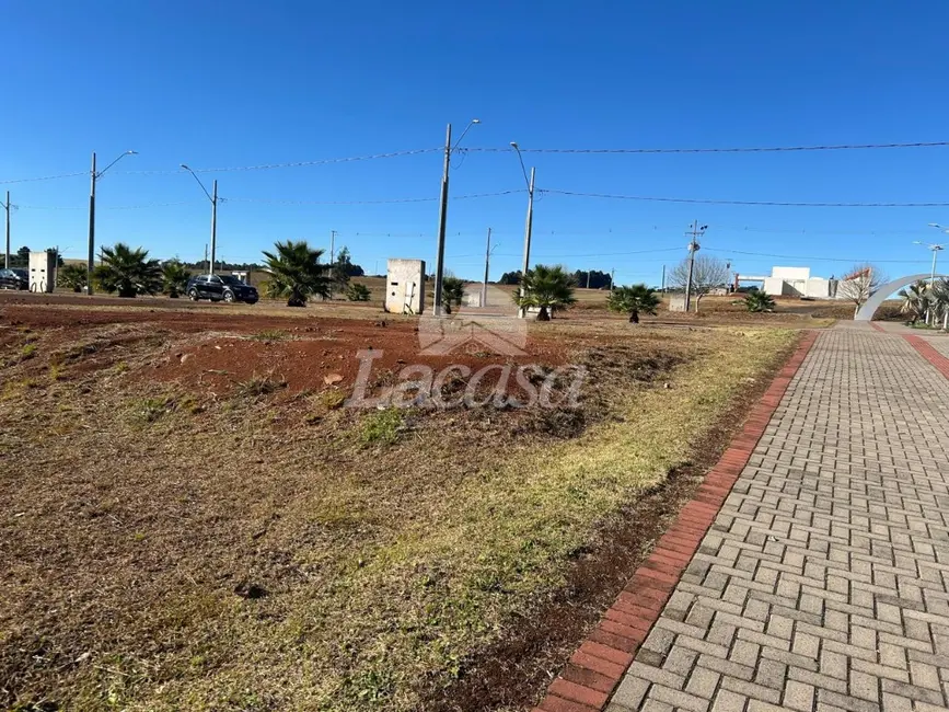 Foto 3 de Terreno / Lote à venda, 279m2 em Guarapuava - PR