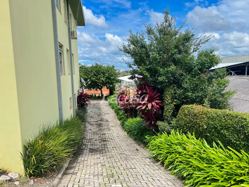 Foto 4 de Casa com 3 quartos para alugar, 80m2 em Centro, Guarapuava - PR