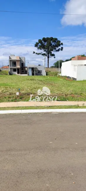 Foto 8 de Terreno / Lote à venda, 126m2 em Boqueirão, Guarapuava - PR