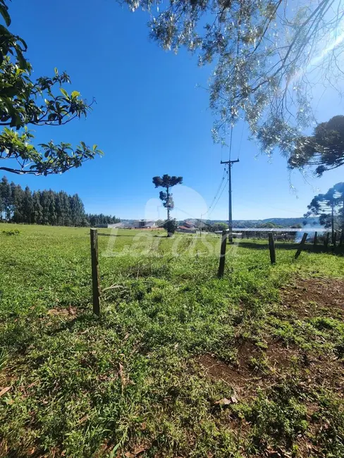 Foto 9 de Chácara à venda, 11m2 em Guarapuava - PR