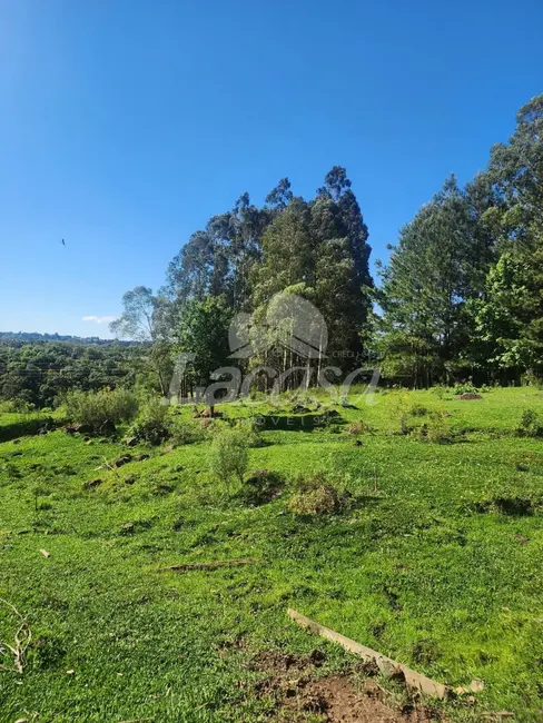 Foto 11 de Chácara à venda, 11m2 em Guarapuava - PR