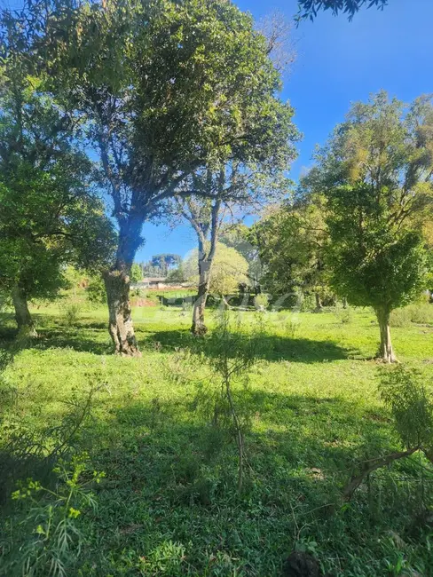 Foto 12 de Chácara à venda, 11m2 em Guarapuava - PR