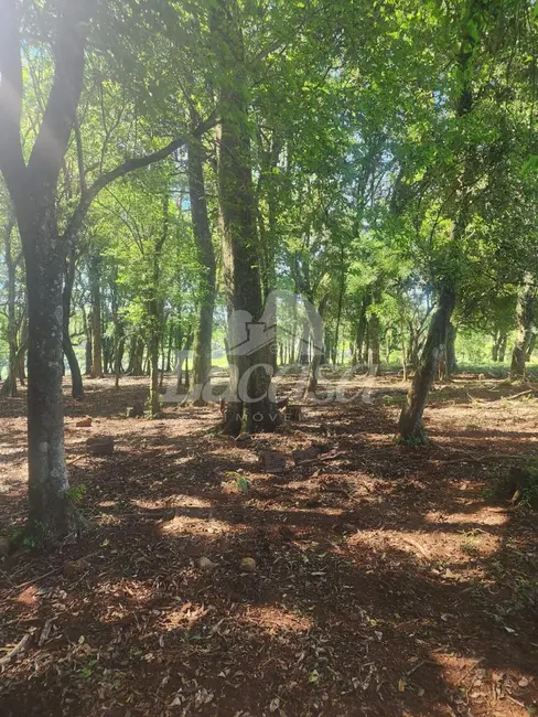 Foto 14 de Chácara à venda, 11m2 em Guarapuava - PR