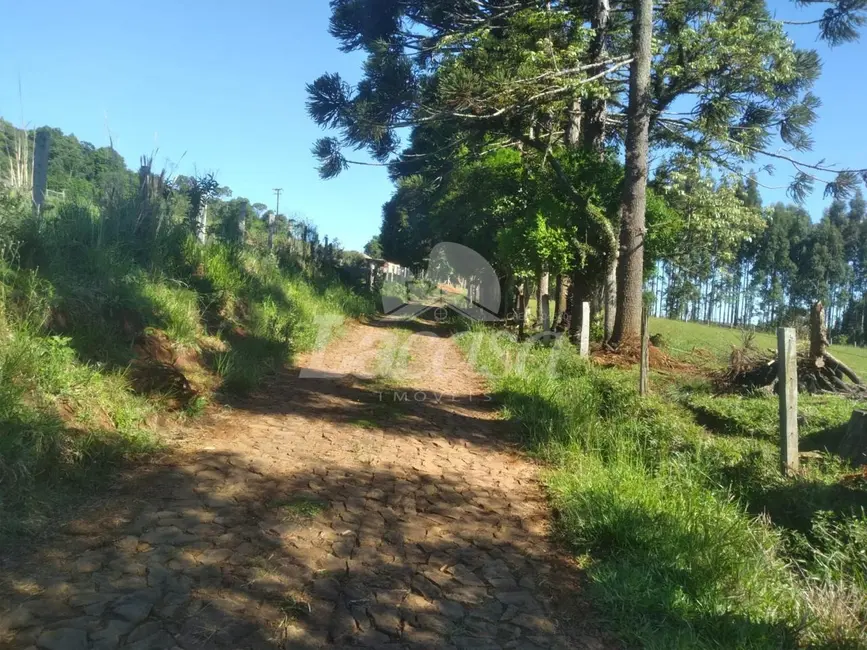 Foto 22 de Chácara à venda, 11m2 em Guarapuava - PR