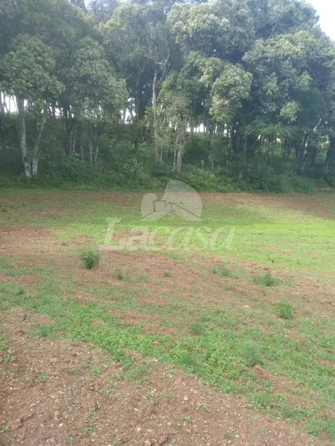 Foto 7 de Chácara à venda em Guarapuava - PR