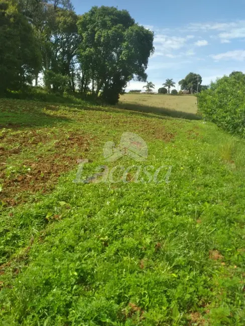 Foto 6 de Chácara à venda em Guarapuava - PR