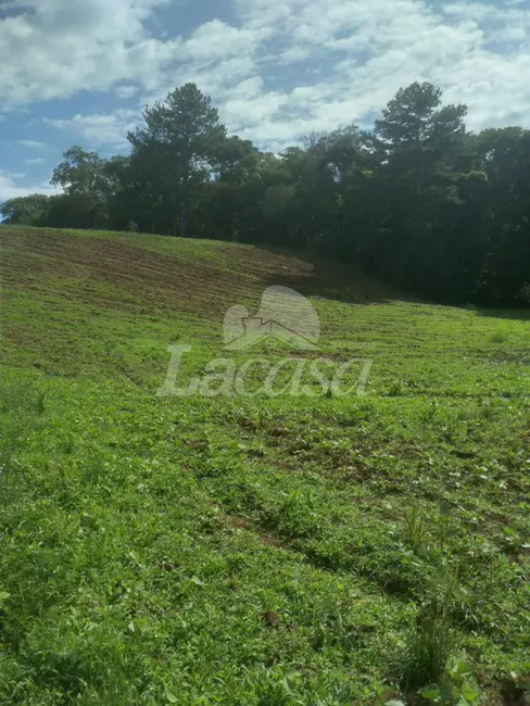 Foto 4 de Chácara à venda em Guarapuava - PR