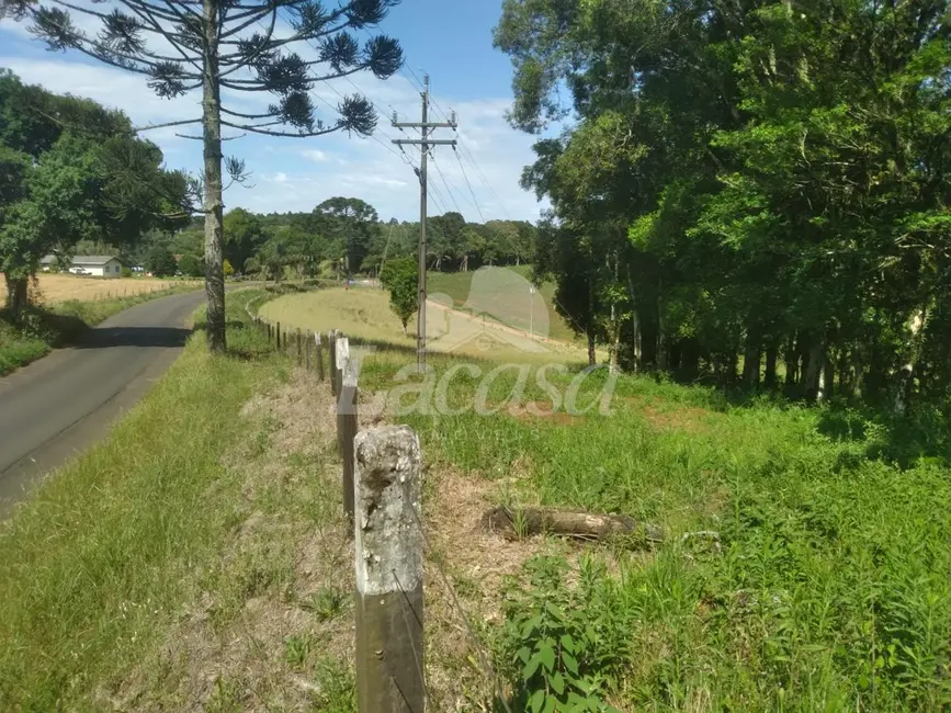 Foto 3 de Chácara à venda em Guarapuava - PR