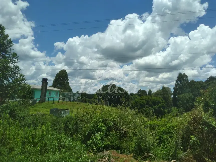 Foto 6 de Chácara com 3 quartos à venda, 80m2 em Guarapuava - PR