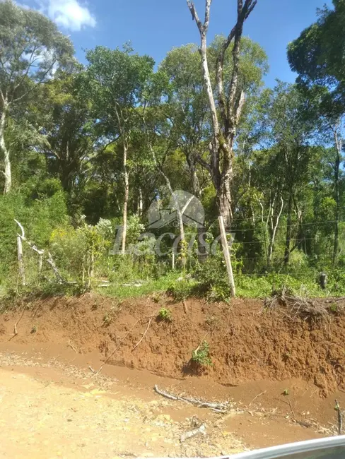 Foto 5 de Sítio / Rancho com 2 quartos à venda, 10m2 em Guarapuava - PR