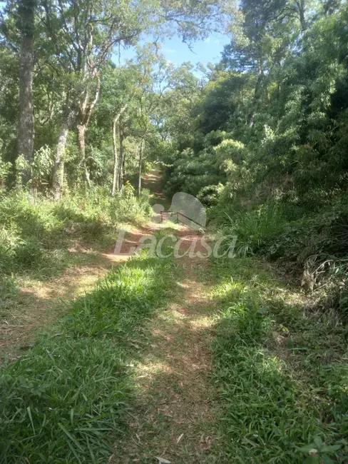 Foto 8 de Sítio / Rancho com 2 quartos à venda, 10m2 em Guarapuava - PR