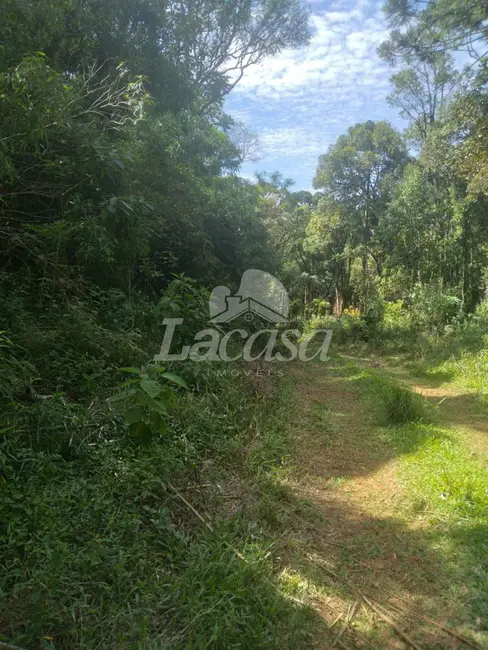 Foto 7 de Sítio / Rancho com 2 quartos à venda, 10m2 em Guarapuava - PR