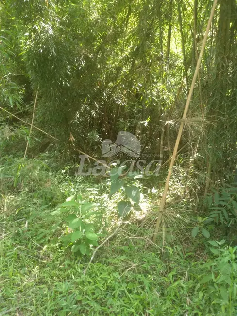 Foto 9 de Sítio / Rancho com 2 quartos à venda, 10m2 em Guarapuava - PR