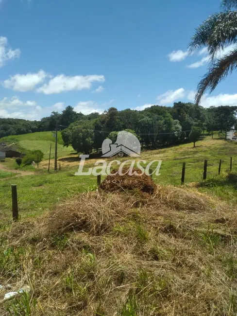 Foto 8 de Chácara à venda em Guarapuava - PR