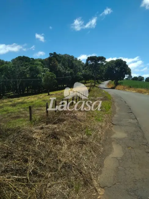 Foto 11 de Chácara à venda em Guarapuava - PR