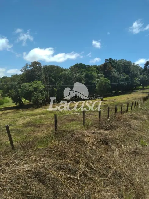Foto 7 de Chácara à venda em Guarapuava - PR