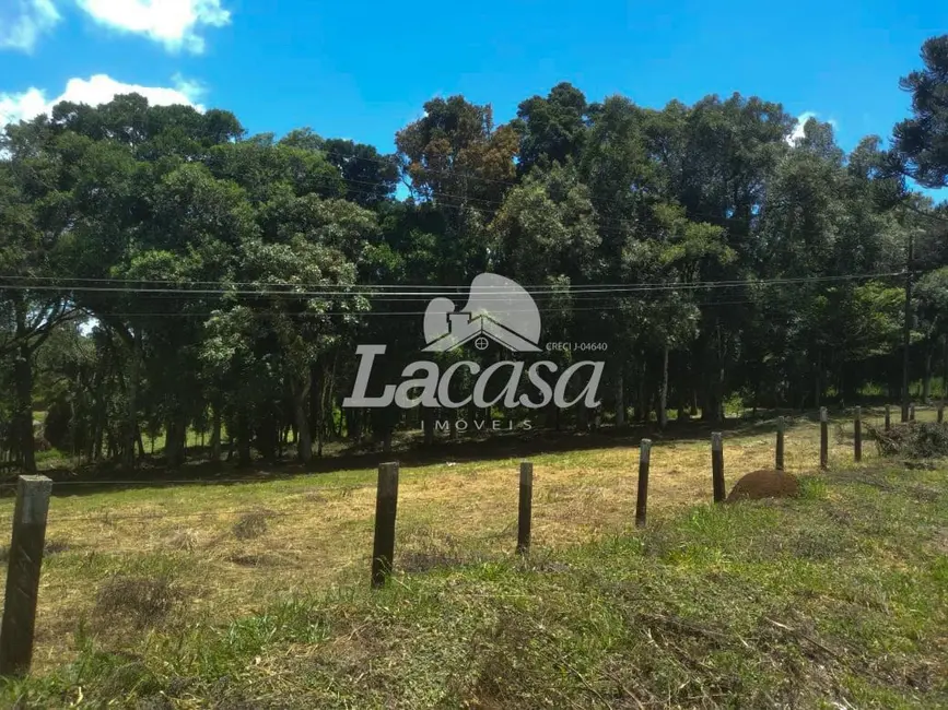 Foto 10 de Chácara à venda em Guarapuava - PR