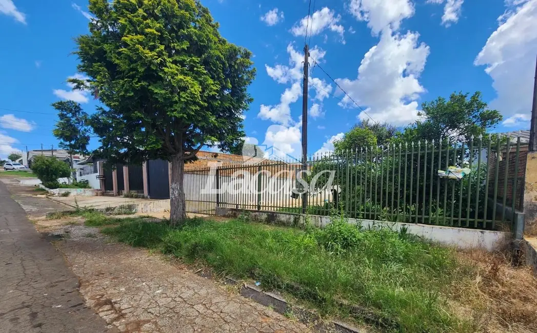 Foto 4 de Casa com 4 quartos à venda, 114m2 em Conradinho, Guarapuava - PR