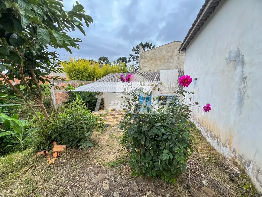 Foto 2 de Casa com 2 quartos para alugar, 60m2 em Boqueirão, Guarapuava - PR