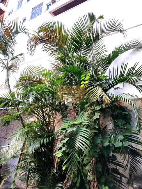 Foto 3 de Loja à venda, 528m2 em Méier, Rio De Janeiro - RJ