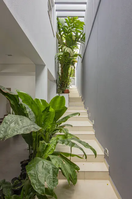 Foto 8 de Sobrado com 4 quartos à venda, 550m2 em Jardim São Caetano, Sao Caetano Do Sul - SP