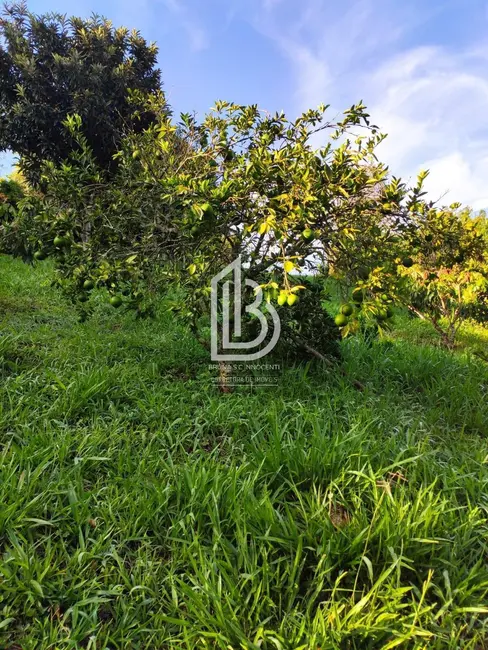 Chácara com 3 quartos à venda, 420m2 em Mairinque - SP - imagem 9 Foto 9 de Chácara com 3 quartos à venda, 420m2 em Mairinque - SP