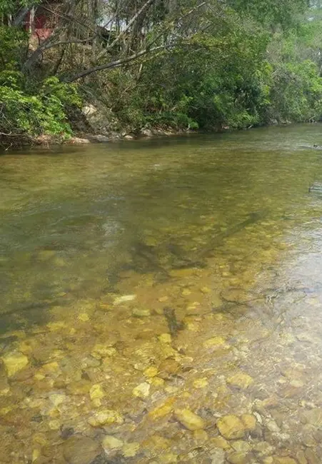 Foto 1 de Chácara com 3 quartos à venda, 5060m2 em Cuiaba - MT