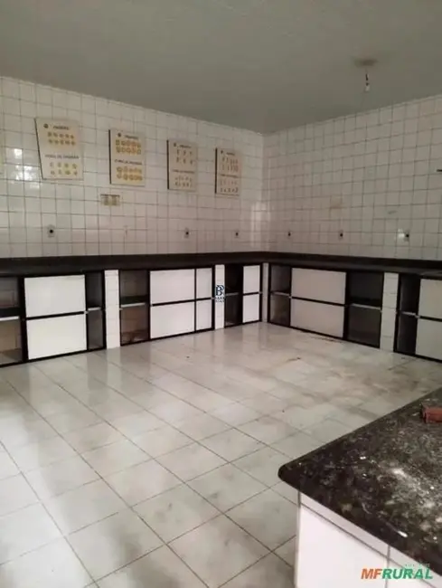 Armazém / Galpão para alugar, 3900m2 em Camacari - BA - imagem 3 Foto 3 de Armazém / Galpão para alugar, 3900m2 em Camacari - BA