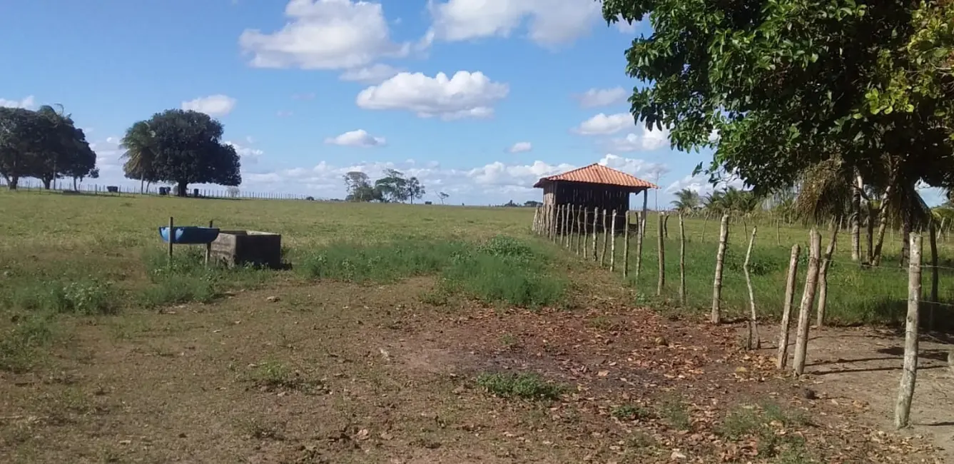 Sítio / Rancho com 1 quarto à venda em Entre Rios - BA - imagem 6 Foto 6 de Sítio / Rancho com 1 quarto à venda em Entre Rios - BA