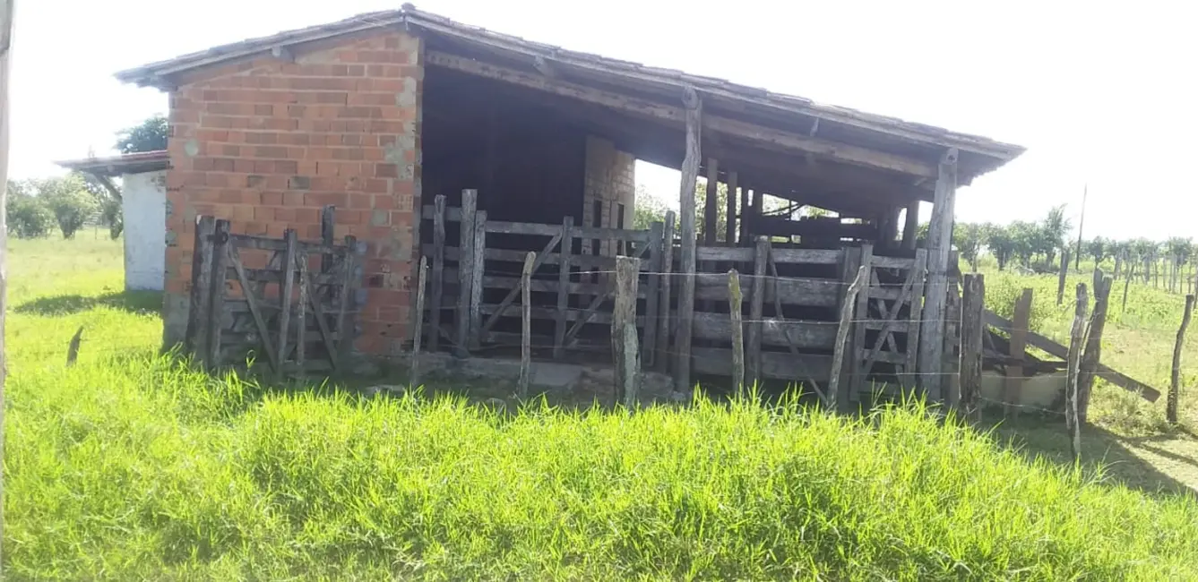 Sítio / Rancho com 1 quarto à venda em Entre Rios - BA - imagem 8 Foto 8 de Sítio / Rancho com 1 quarto à venda em Entre Rios - BA