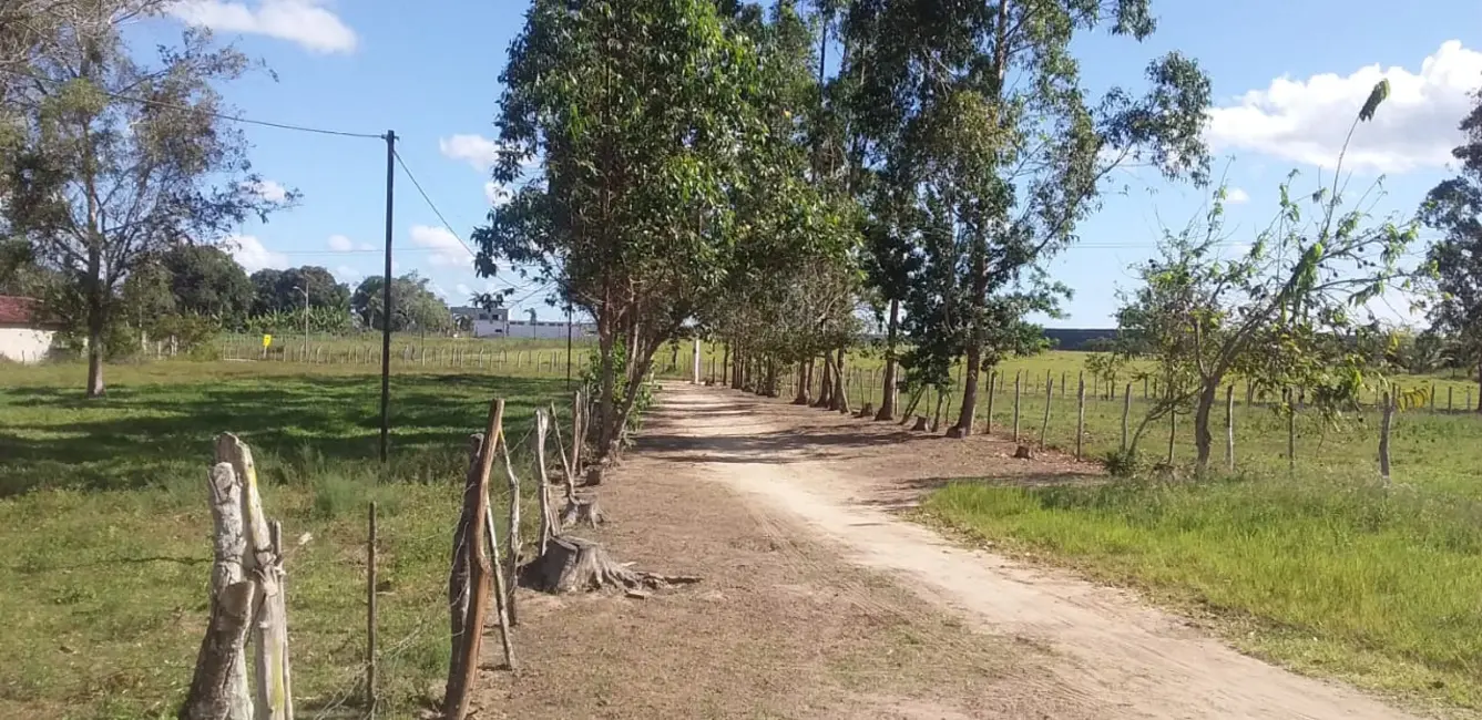 Sítio / Rancho com 1 quarto à venda em Entre Rios - BA - imagem 9 Foto 9 de Sítio / Rancho com 1 quarto à venda em Entre Rios - BA