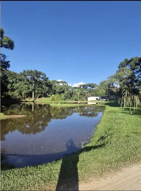 Foto 12 de Chácara à venda, 3300m2 em Centro, Mandirituba - PR