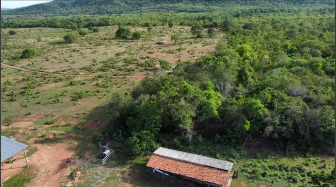 Foto 7 de Chácara com 4 quartos à venda, 14229600m2 em Vianopolis - GO