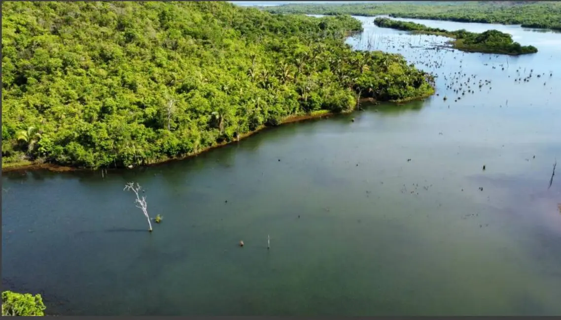 Foto 3 de Chácara com 4 quartos à venda, 14229600m2 em Vianopolis - GO