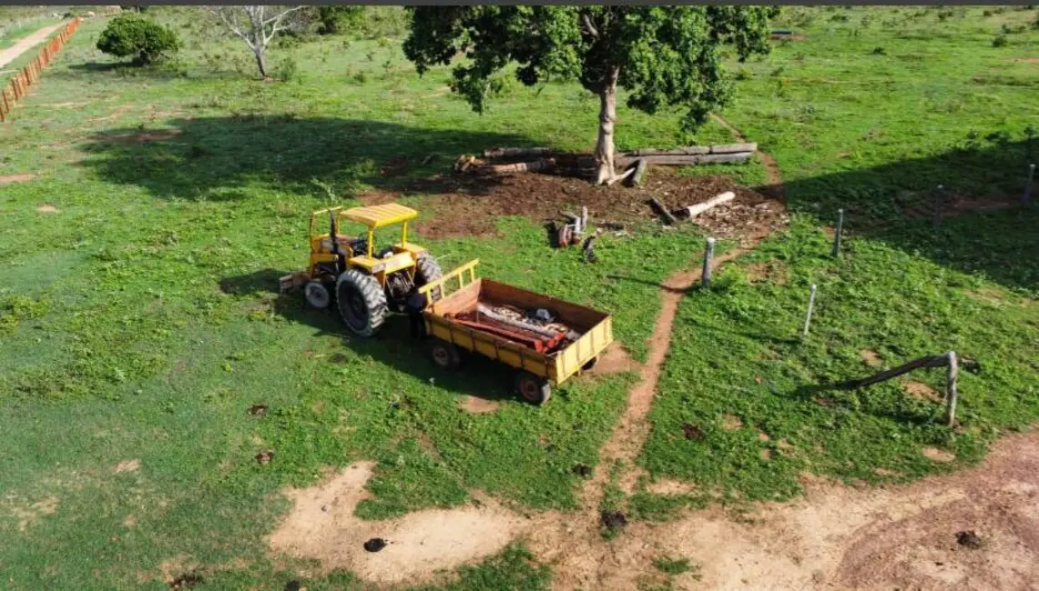 Foto 8 de Chácara com 4 quartos à venda, 14229600m2 em Vianopolis - GO