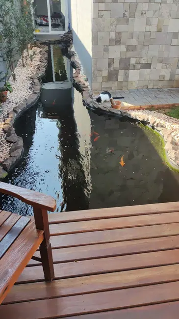 Foto 4 de Casa com 3 quartos à venda, 300m2 em Portal de Dourados, Dourados - MS