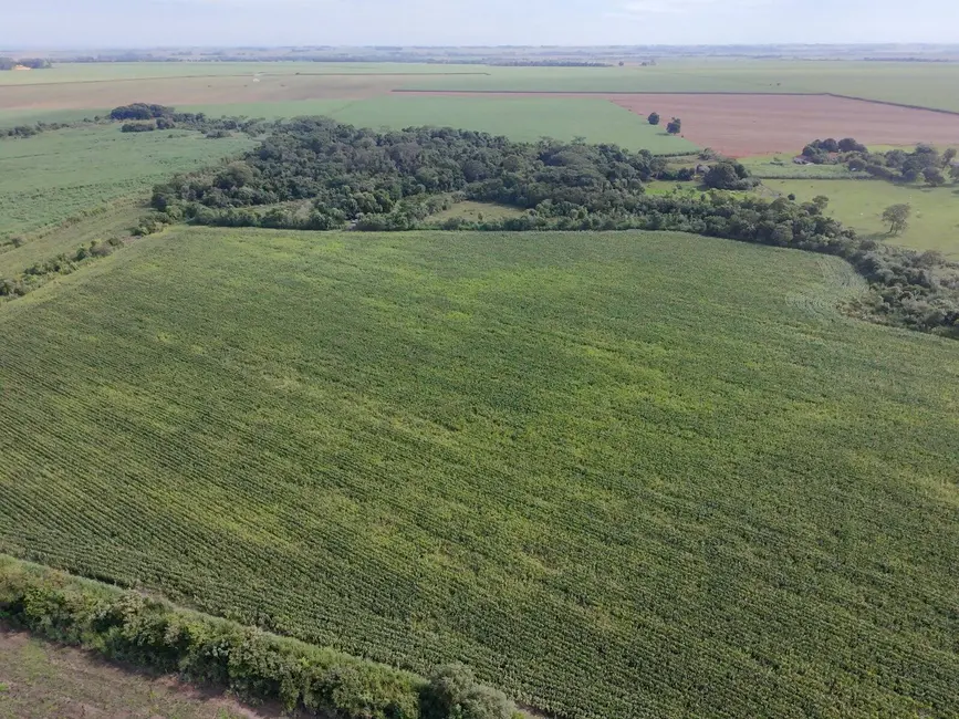 Foto 6 de Chácara à venda, 235000m2 em Dourados - MS