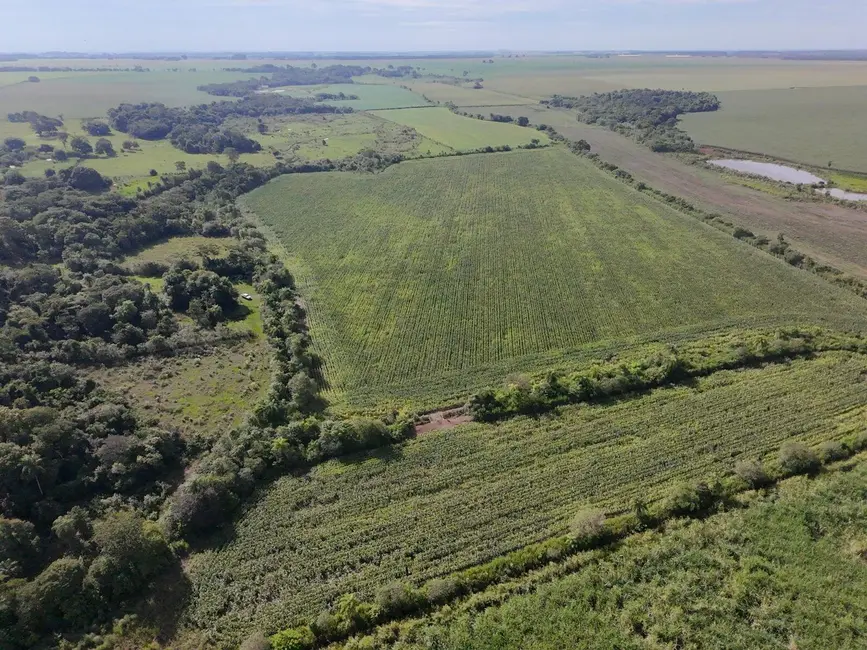 Foto 7 de Chácara à venda, 235000m2 em Dourados - MS