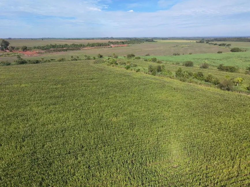 Foto 4 de Chácara à venda, 235000m2 em Dourados - MS