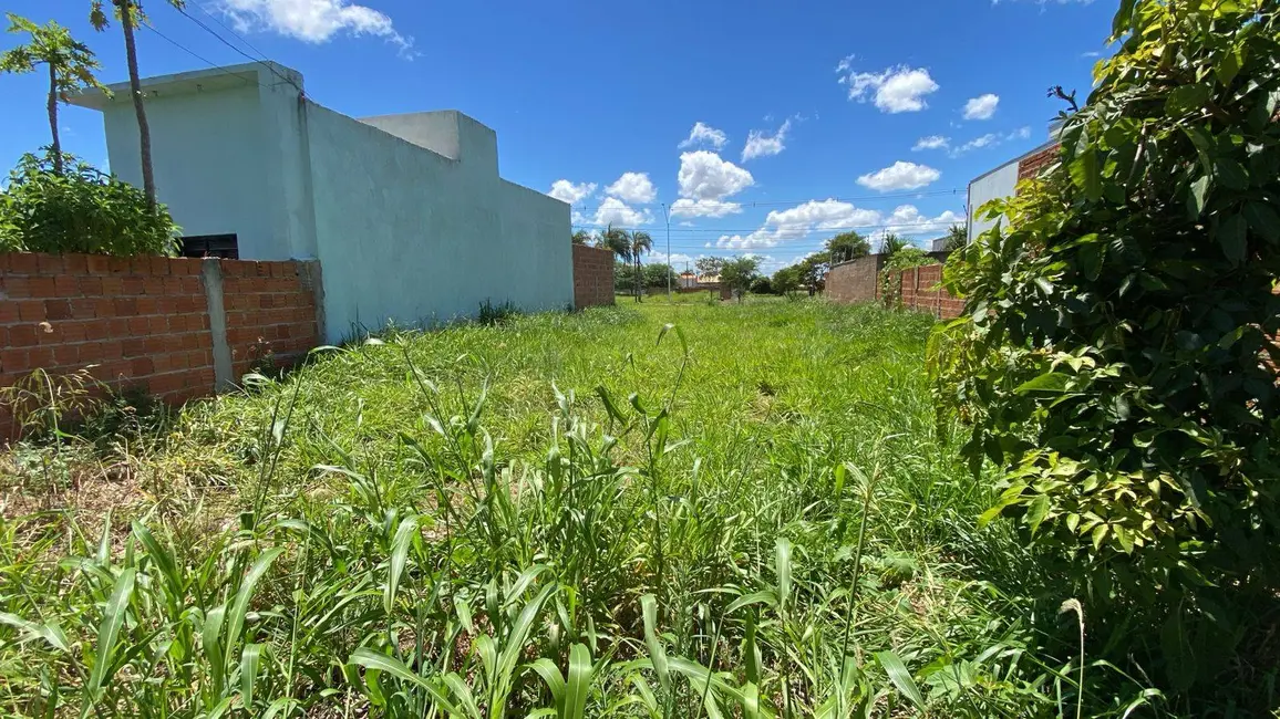 Foto 2 de Terreno / Lote à venda, 200m2 em Dourados - MS