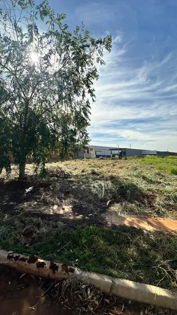 Terreno / Lote à venda, 461m2 em Parque dos Jequitibás, Dourados - MS - imagem 4 Foto 4 de Terreno / Lote à venda, 461m2 em Parque dos Jequitibás, Dourados - MS