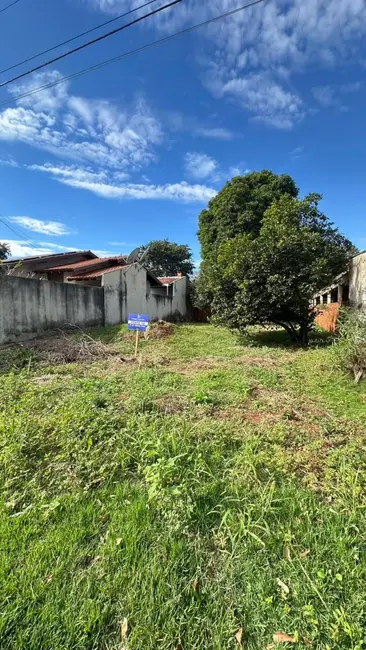 Foto 3 de Terreno / Lote à venda, 384m2 em Vila Aurora, Dourados - MS