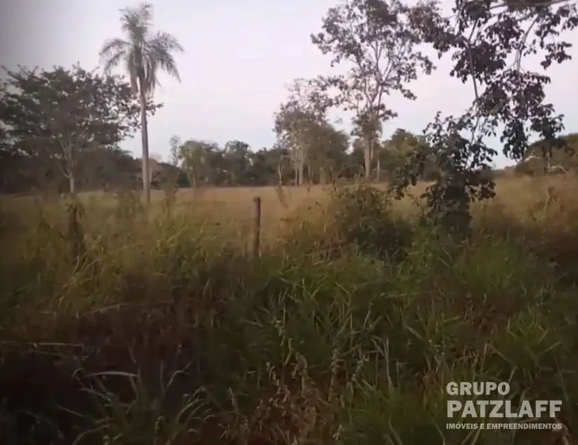 Foto 8 de Chácara à venda, 310000m2 em Jaraguari - MS