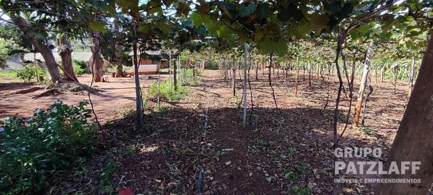 Foto 5 de Chácara à venda, 11250m2 em Jaraguari - MS