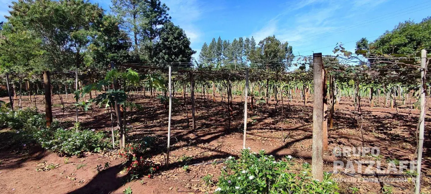 Foto 6 de Chácara à venda, 11250m2 em Jaraguari - MS