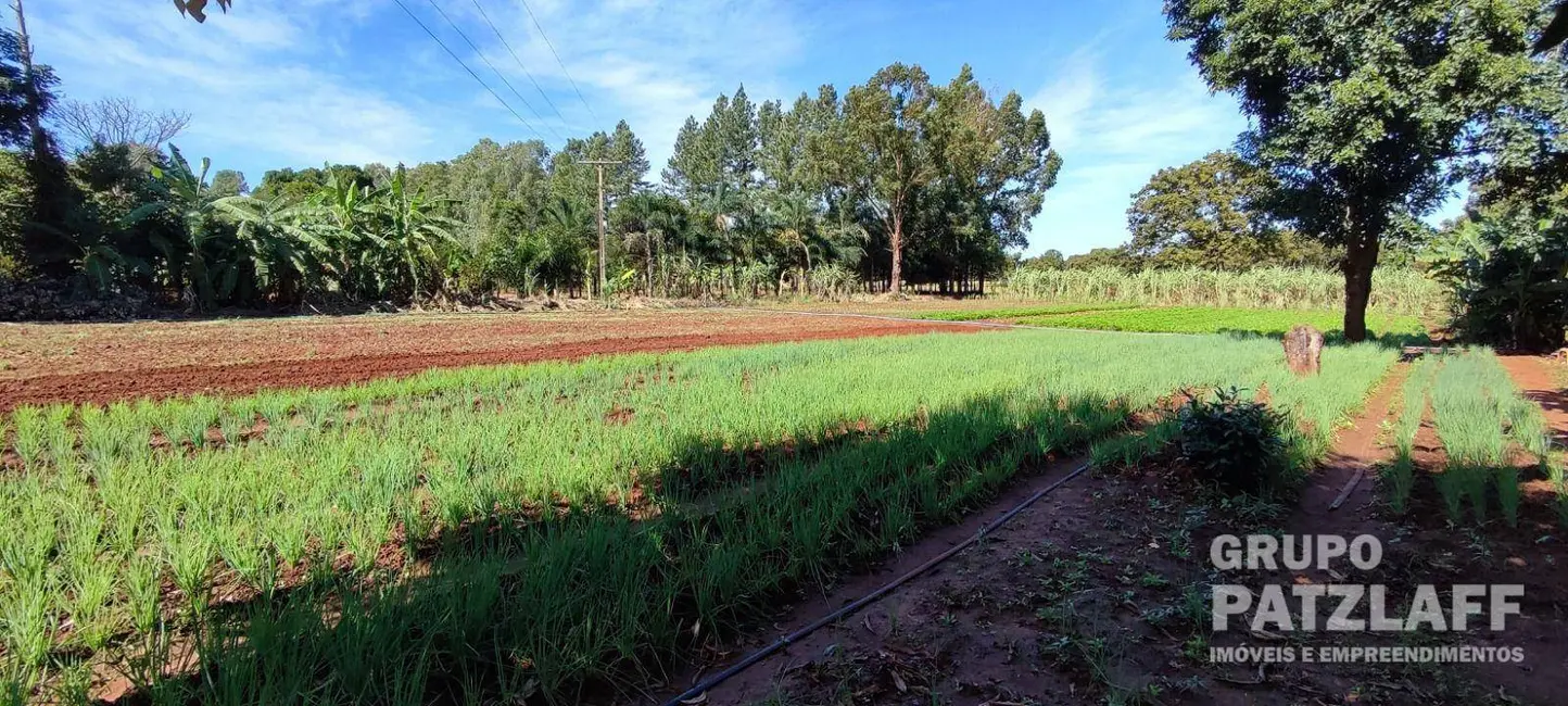 Foto 3 de Chácara à venda, 11250m2 em Jaraguari - MS